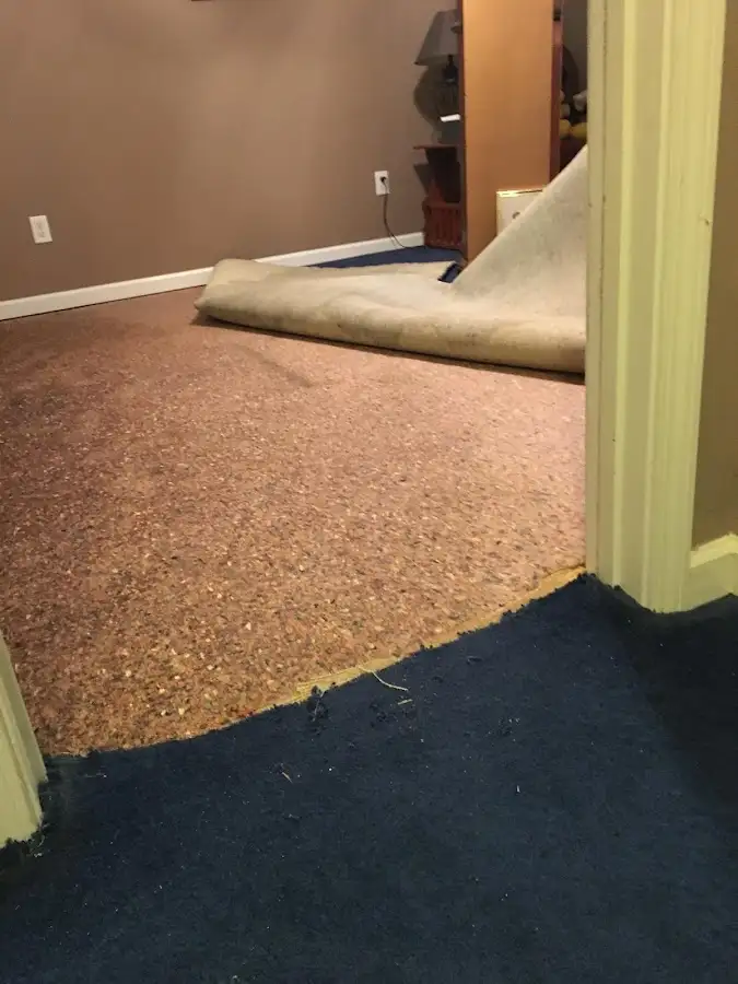 Carpet pad removal revealing water damage during Water Mitigation Services in Riverview