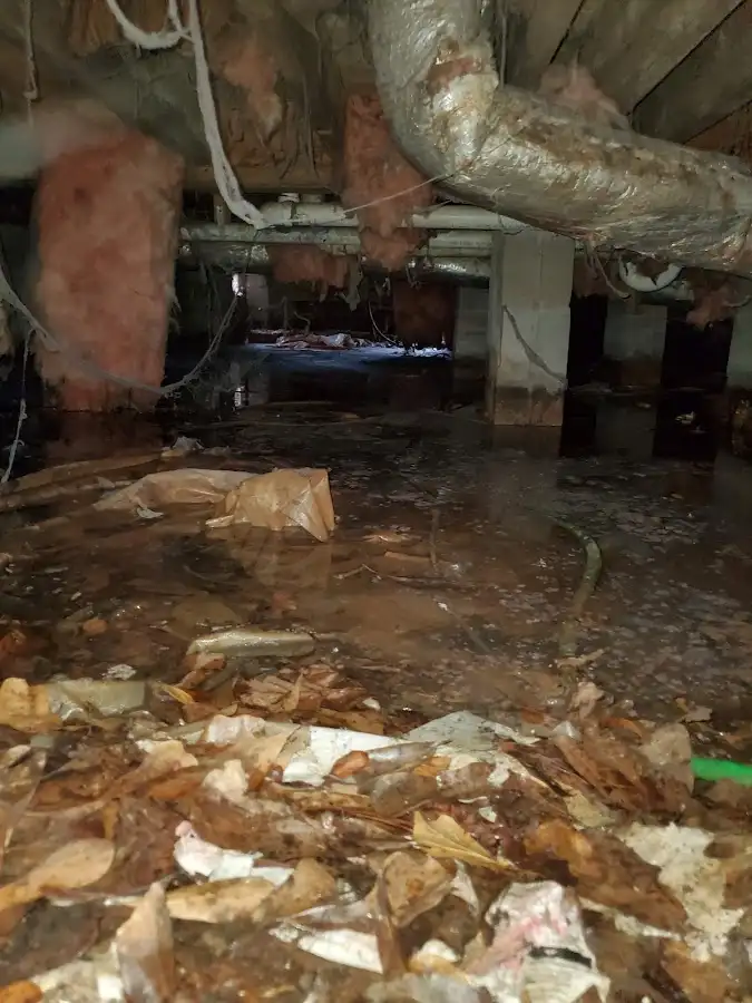 Crawl space flood assessment for Commercial Water Damage Restoration in Riverview